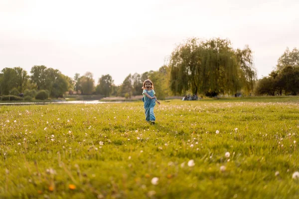 Fetiță pe un câmp de păpădie, la apus de soare, chi fericit emoțional — Fotografie, imagine de stoc