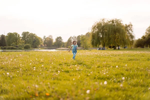 Klein meisje op een paardebloem veld, bij zonsondergang, emotionele gelukkig Chi — Stockfoto