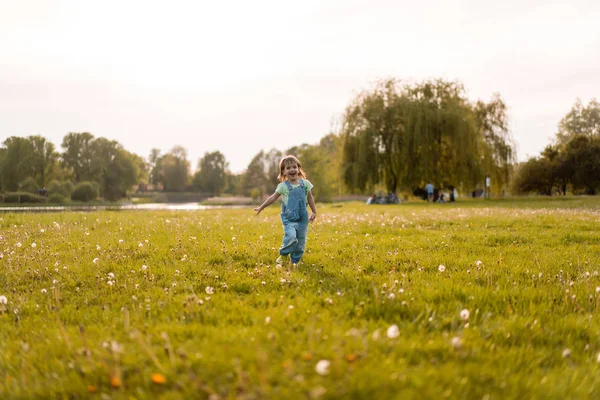 Bambina su un campo di dente di leone, al tramonto, chi felice emotivo — Foto Stock