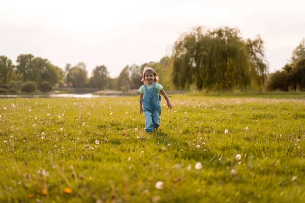 Kleines Mädchen auf einem Löwenzahnfeld, bei Sonnenuntergang, emotional glücklich chi — Stockfoto