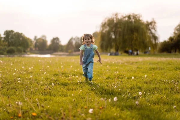 Bambina su un campo di dente di leone, al tramonto, chi felice emotivo — Foto Stock