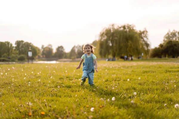 Niña en un campo de diente de león, al atardecer, chi feliz emocional —  Fotos de Stock