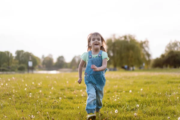 Menina em um campo de dente de leão, ao pôr do sol, chi feliz emocional — Fotografia de Stock