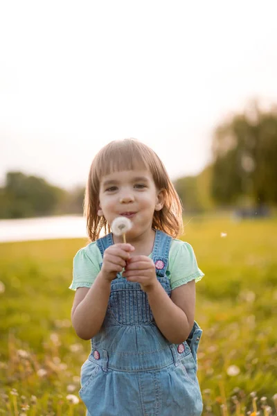 Menina em um campo de dente de leão, ao pôr do sol, chi feliz emocional — Fotografia de Stock