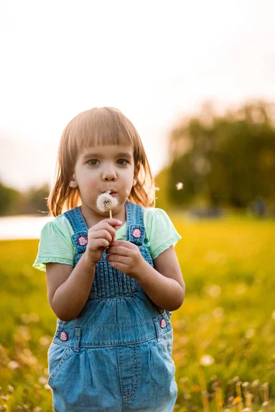 Little girl on a dandelion field, at sunset, emotional happy chi — Stock Photo, Image