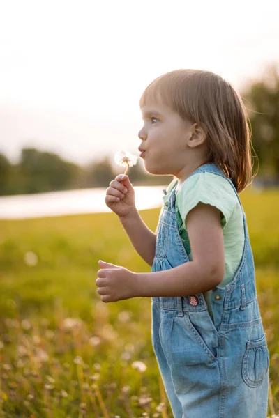 Klein meisje op een paardebloem veld, bij zonsondergang, emotionele gelukkig Chi — Stockfoto