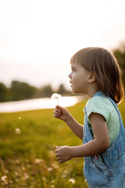 Klein meisje op een paardebloem veld, bij zonsondergang, emotionele gelukkig Chi — Stockfoto