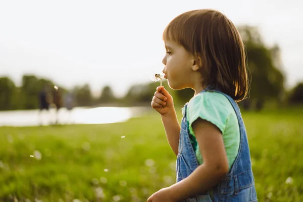 Little girl on a dandelion field, at sunset, emotional happy chi — Stock Photo, Image