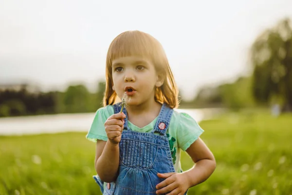 Klein meisje op een paardebloem veld, bij zonsondergang, emotionele gelukkig Chi — Stockfoto