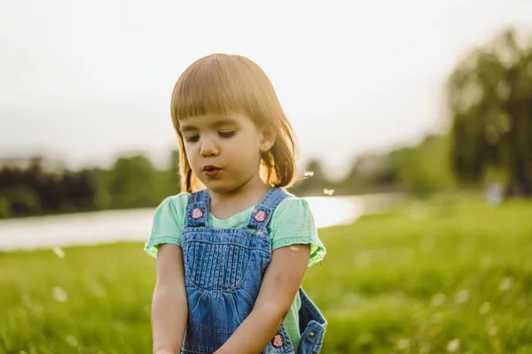 Klein meisje op een paardebloem veld, bij zonsondergang, emotionele gelukkig Chi — Stockfoto