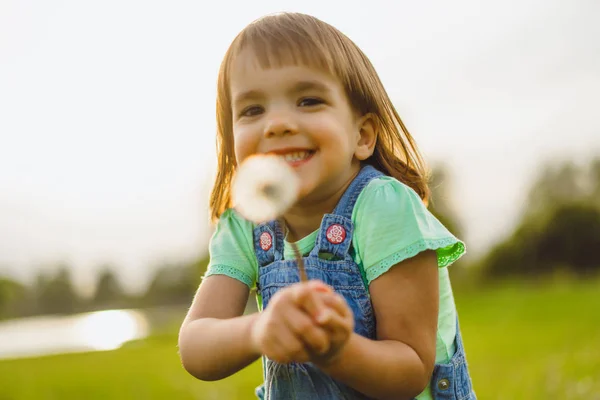 Little girl on a dandelion field, at sunset, emotional happy chi — Stock Photo, Image