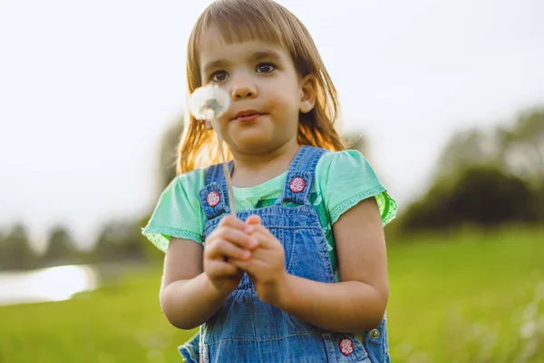 Little girl on a dandelion field, at sunset, emotional happy chi — Stock Photo, Image