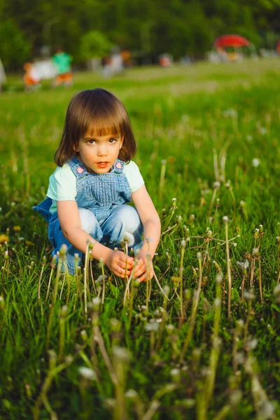 Klein meisje op een paardebloem veld, bij zonsondergang, emotionele gelukkig Chi — Stockfoto