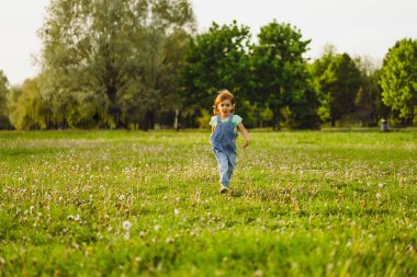karahindiba tarlasında küçük kız, gün batımında, duygusal mutlu chi
