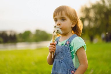 karahindiba tarlasında küçük kız, gün batımında, duygusal mutlu chi
