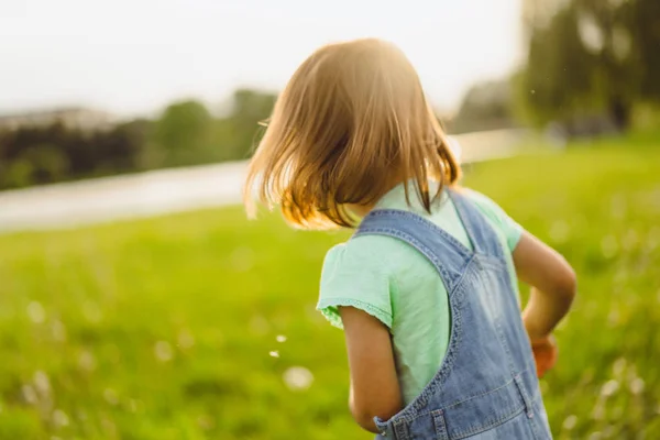 Klein meisje op een paardebloem veld, bij zonsondergang, emotionele gelukkig Chi — Stockfoto