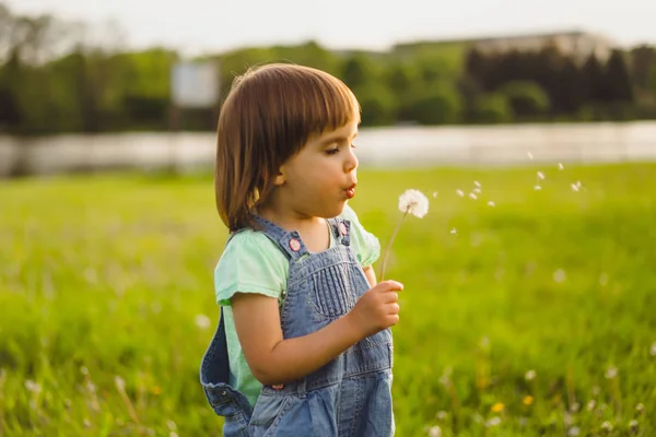 Little girl on a dandelion field, at sunset, emotional happy chi — Stock Photo, Image