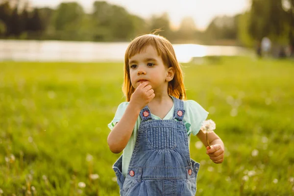 Klein meisje op een paardebloem veld, bij zonsondergang, emotionele gelukkig Chi — Stockfoto