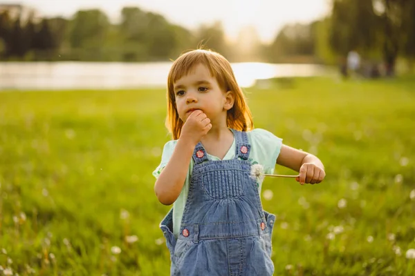 Niña en un campo de diente de león, al atardecer, chi feliz emocional —  Fotos de Stock