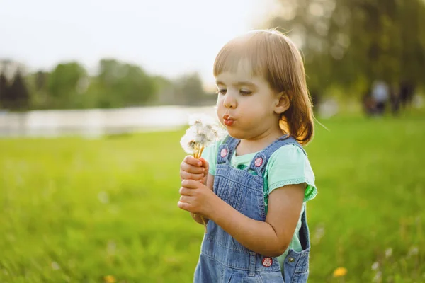 Niña en un campo de diente de león, al atardecer, chi feliz emocional —  Fotos de Stock