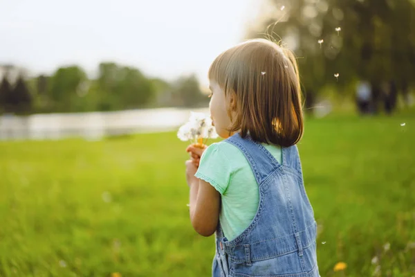 Little girl on a dandelion field, at sunset, emotional happy chi — Stock Photo, Image