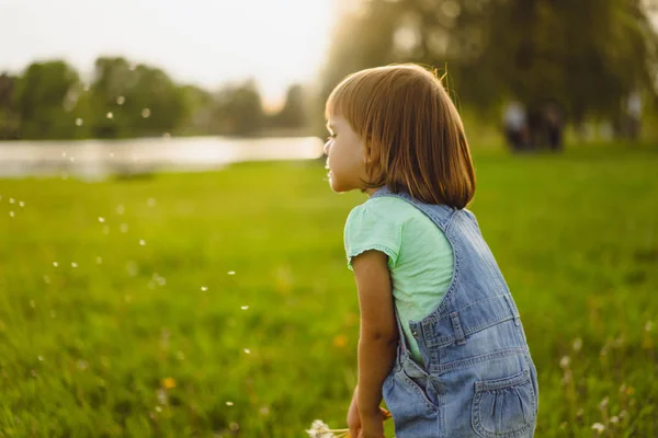 Klein meisje op een paardebloem veld, bij zonsondergang, emotionele gelukkig Chi — Stockfoto