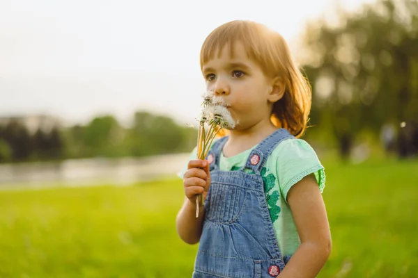 Klein meisje op een paardebloem veld, bij zonsondergang, emotionele gelukkig Chi — Stockfoto