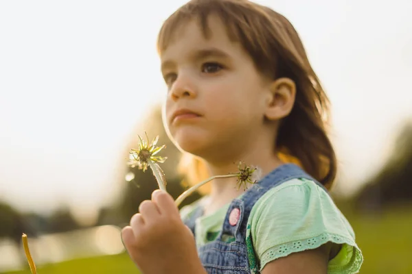 Little girl on a dandelion field, at sunset, emotional happy chi — Stock Photo, Image