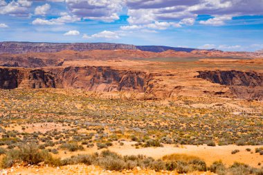 Arizona çöl manzarası, Amerika Birleşik Devletleri