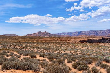 Arizona çöl manzarası, Amerika Birleşik Devletleri