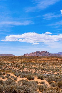 Arizona çöl manzarası, Amerika Birleşik Devletleri