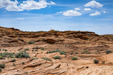 Arizona çöl manzarası, Amerika Birleşik Devletleri