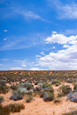 Arizona çöl manzarası, Amerika Birleşik Devletleri