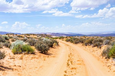 Arizona'da yol, Amerika Birleşik Devletleri'ne bir yol gezisi.