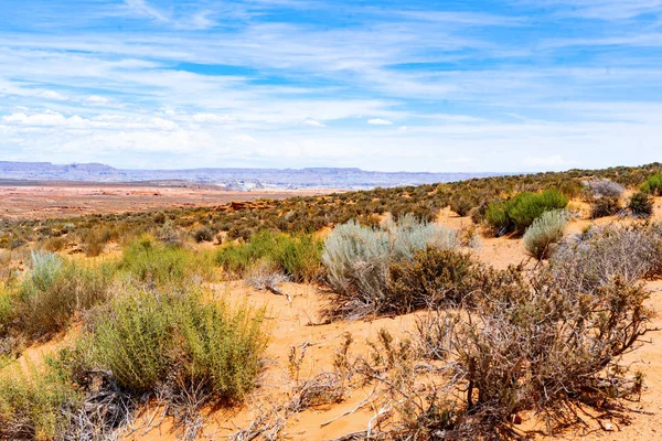 Arizona Desert Landscape United States America — Stock Photo, Image