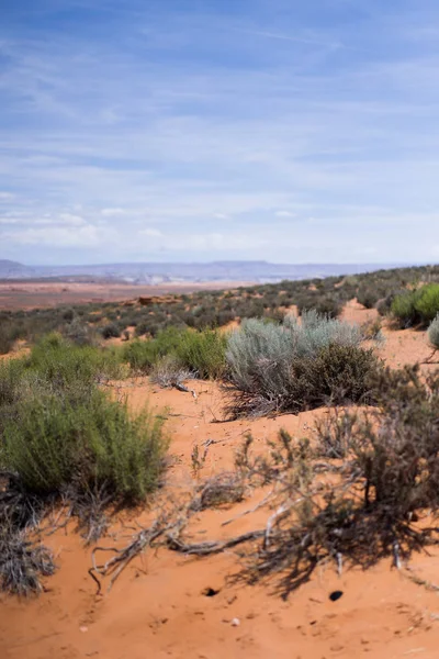 Arizona Desert Landscape United States America — Stock Photo, Image