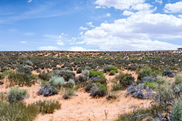 Arizona Desert Landscape Estados Unidos América — Fotografia de Stock