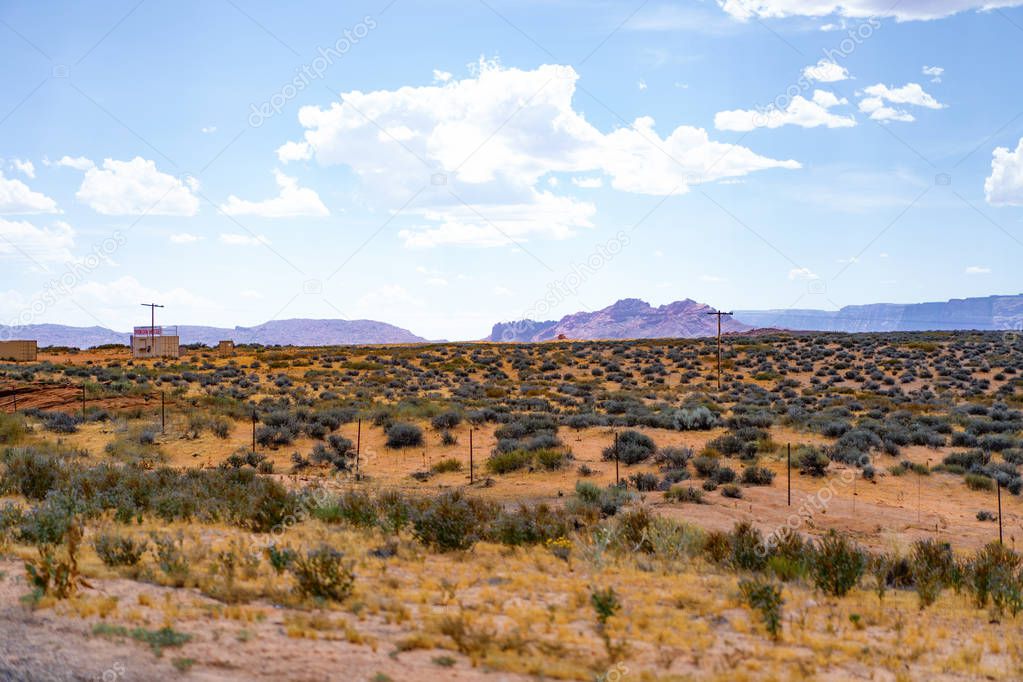 Arizona desert landscape, United States of America