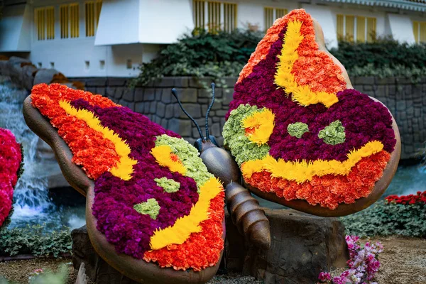 Bellagio Conservatory Botanical Garden — Stock Photo, Image