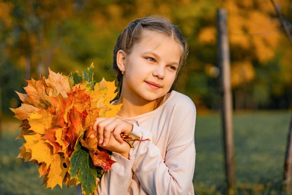 紅葉の美しい小さな女の子 肖像画 クローズアップ — ストック写真