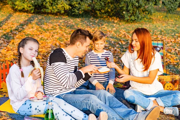 Lycklig Stor Familj Parken Picknick Pappa Mamma Barn Son Dotter — Stockfoto