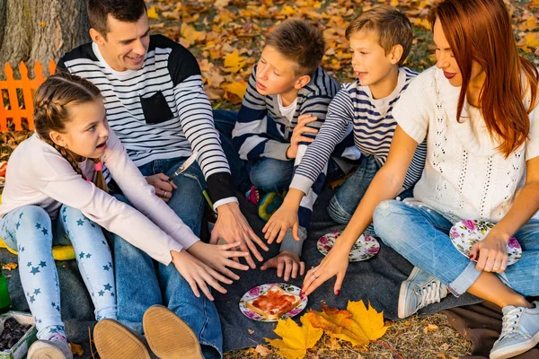 Lycklig Stor Familj Parken Picknick Pappa Mamma Barn Son Dotter — Stockfoto
