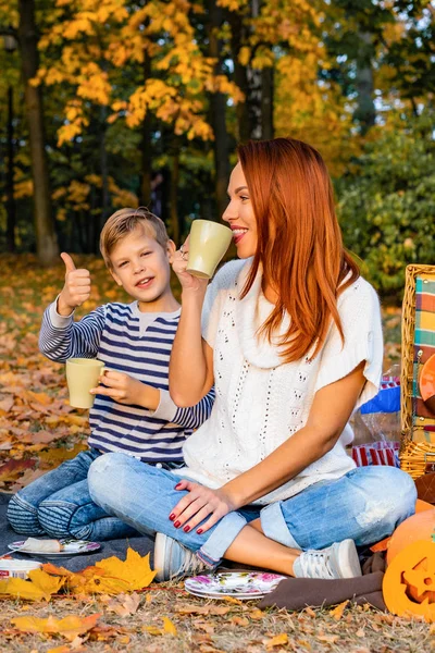 Glückliche Große Familie Park Bei Einem Picknick Vater Mutter Kinder — Stockfoto