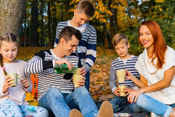 Glückliche Große Familie Park Bei Einem Picknick Vater Mutter Kinder — Stockfoto