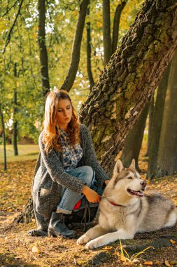 sonbahar parkında genç kadın bir husky köpek ile yürüyor.