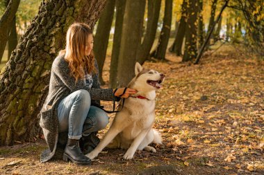sonbahar parkında genç kadın bir husky köpek ile yürüyor.