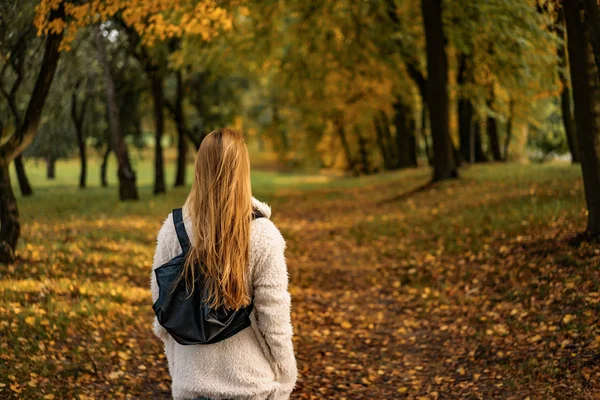 Chica Camina Parque Otoño Hembra Bosque Otoño —  Fotos de Stock