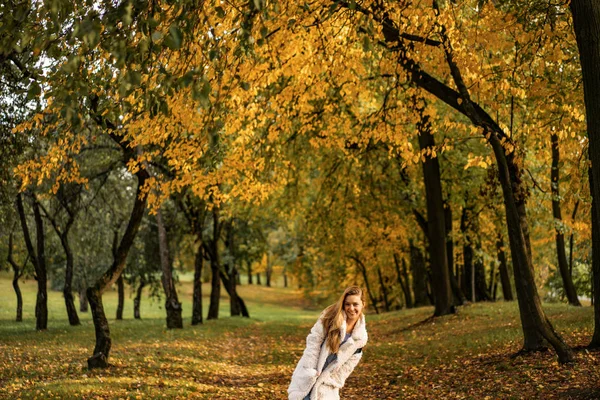 女孩在秋天的公园里散步 秋天森林里的女性 — 图库照片