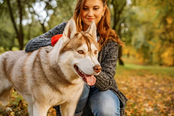 Jonge Vrouw Herfst Park Wandelingen Met Een Husky Hond — Stockfoto