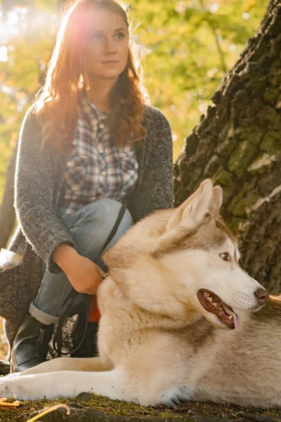 Jovem Fêmea Parque Outono Caminha Com Cão Husky — Fotografia de Stock